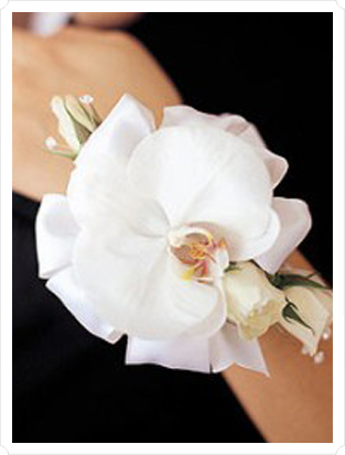 orchid-corsage